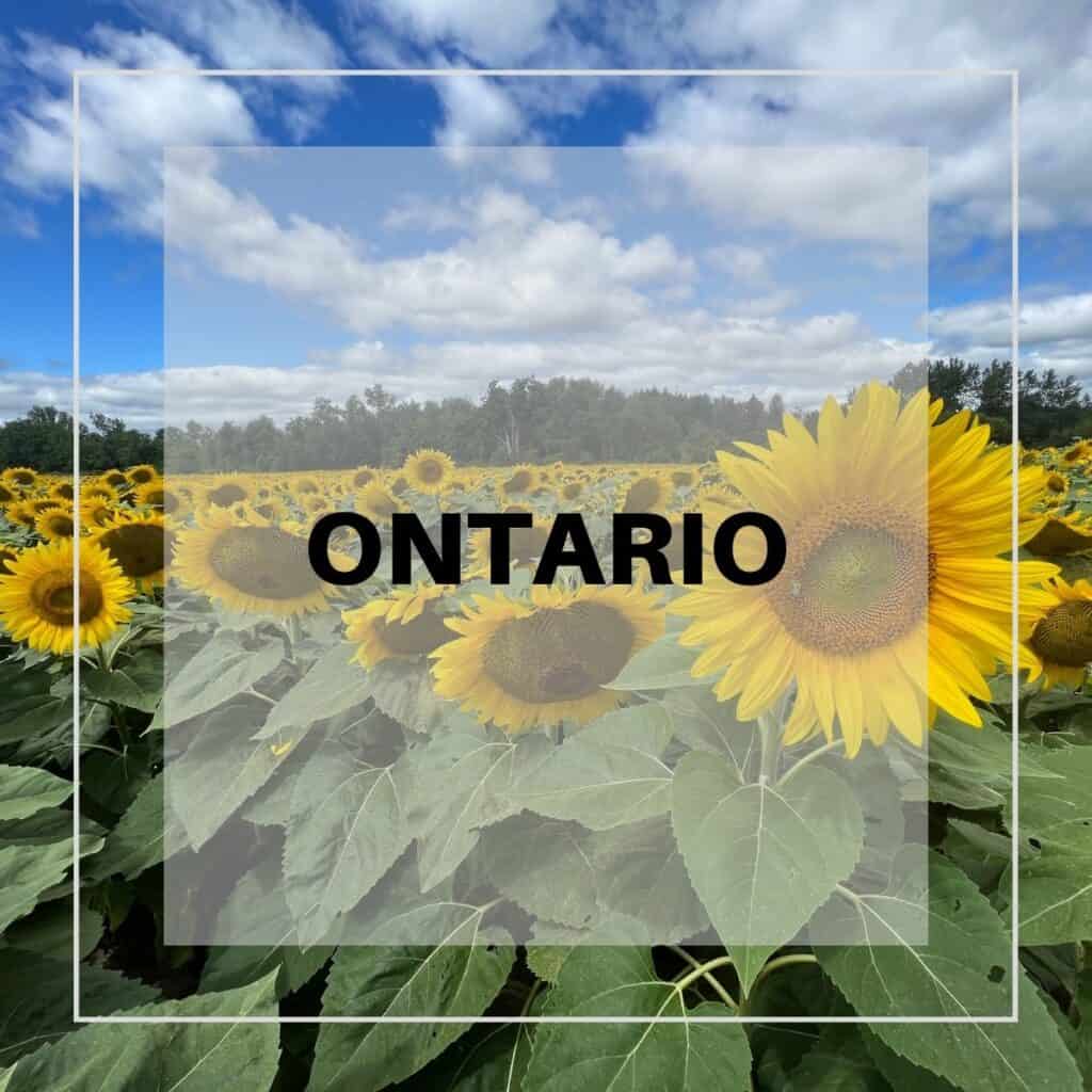 Linked image for the topic "Ontario"