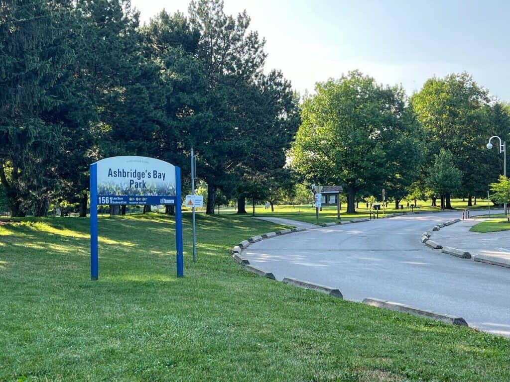 Woodbine Beach Parking: What You Need to Know (from a Local) - Toronto