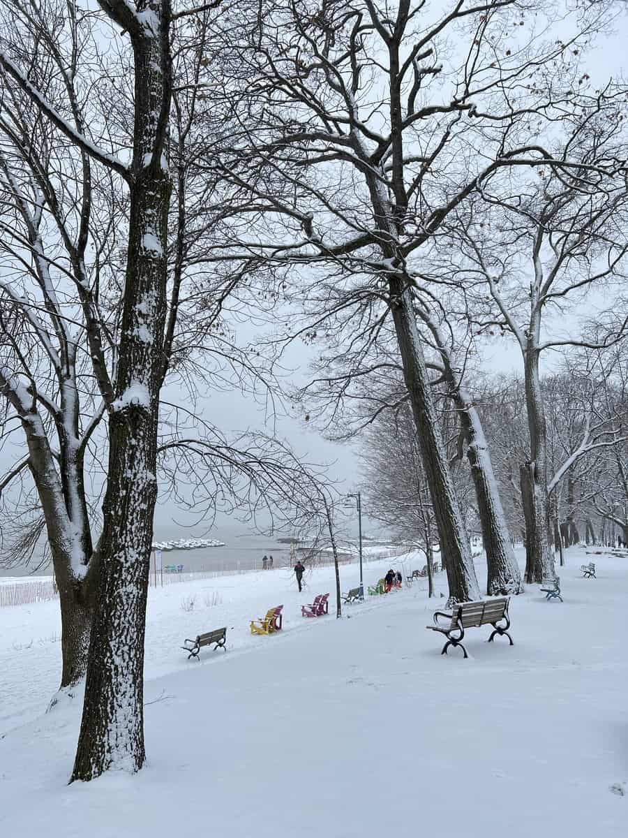 A winter day in Toronto with snow covered benches, trees, and path beside Lake Ontario. Sky is grey and overcast.