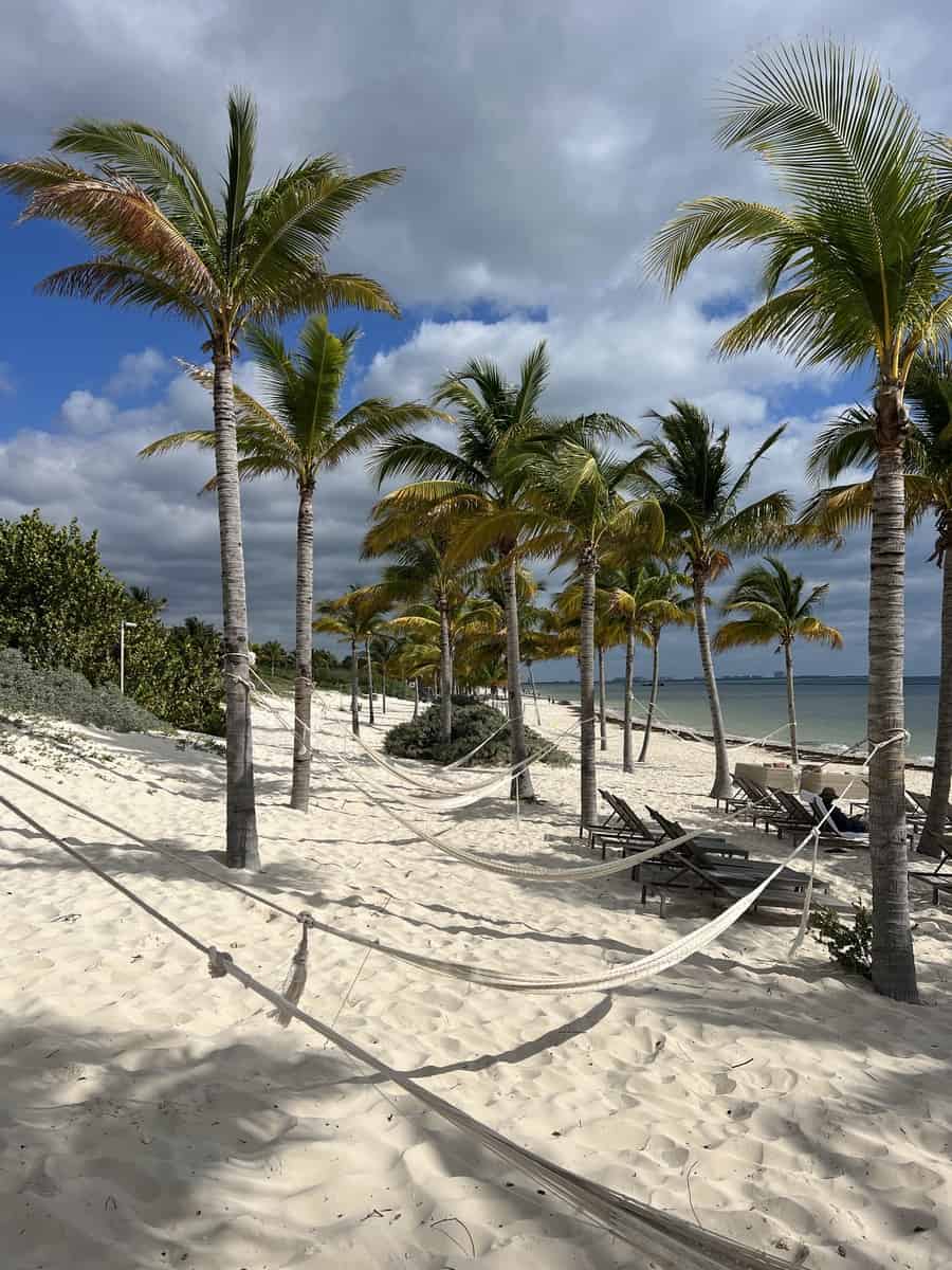 View of hammocks handing between palm trees and loungers on the beach at Moon Palace Cancun.