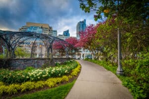 30 Best Places to See Toronto's Cherry Blossoms This Spring