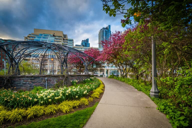 30 Best Places to See Toronto's Cherry Blossoms This Spring