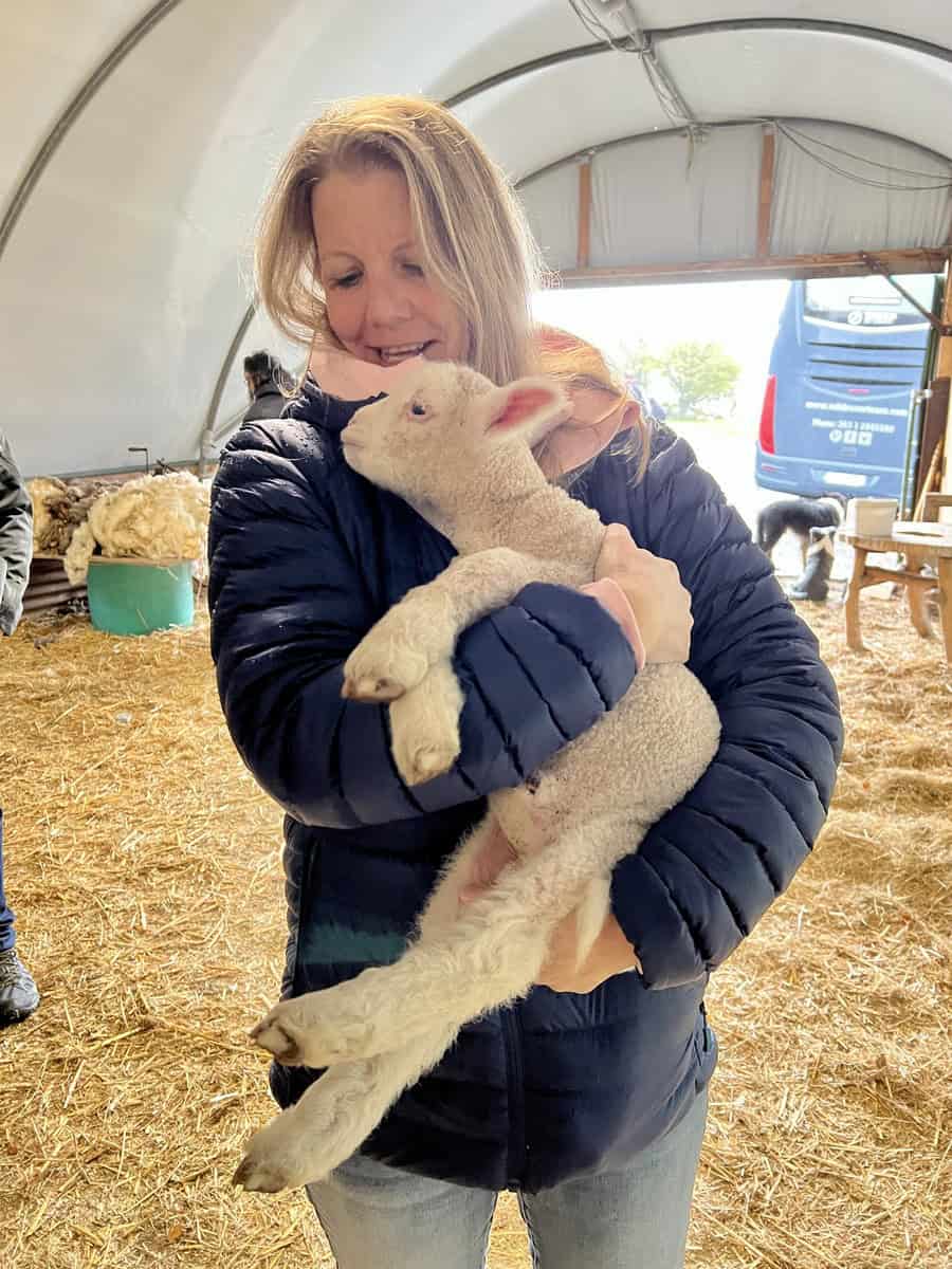 A woman is holding a baby lamb at a farm near Dublin, Ireland.