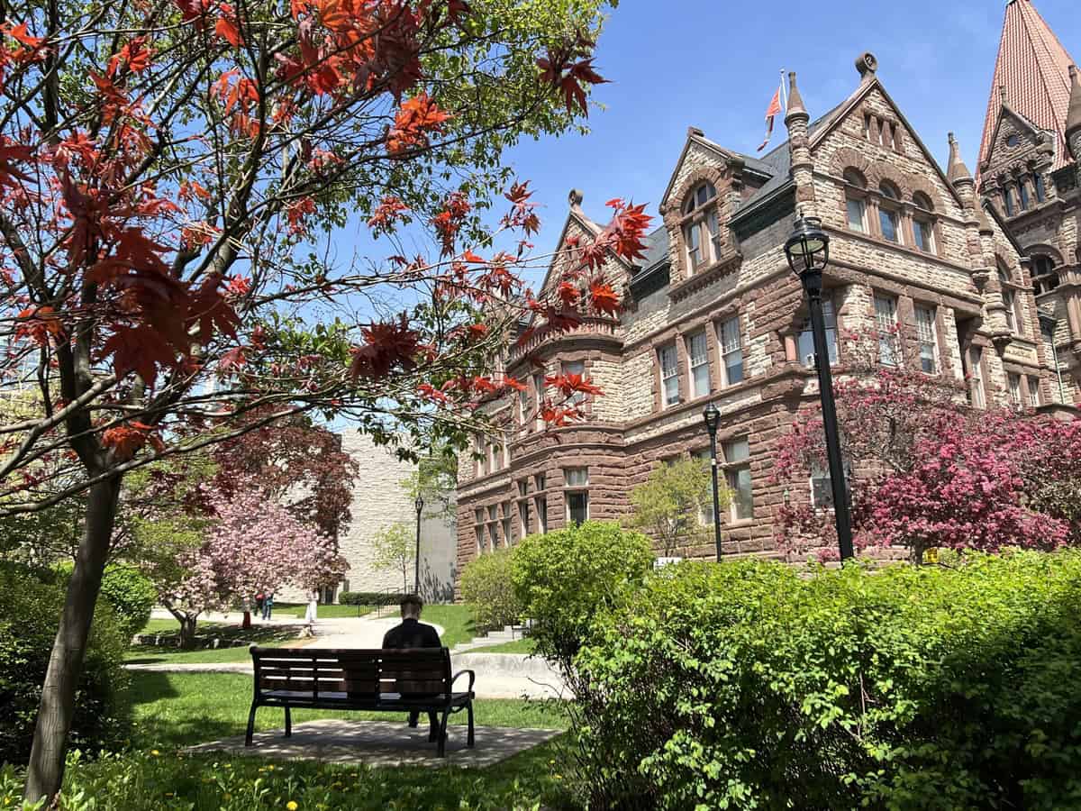 A historic University of Toronto stone building with ornate architectural details, such as arched windows and decorative stonework. The building is surrounded by lush, well-maintained greenery and vibrant flowering trees, including cherry blossoms. A bench in the foreground has a solitary person sitting on it, facing away from the camera. The sky is clear and blue, enhancing the serene and inviting atmosphere of this outdoor space.