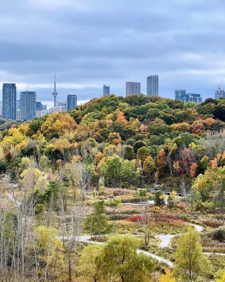25 Best Places to See Fall Colours in Toronto 2026