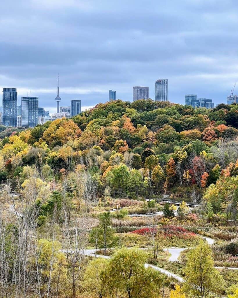 25 Best Places to See Fall Colours in Toronto 2026