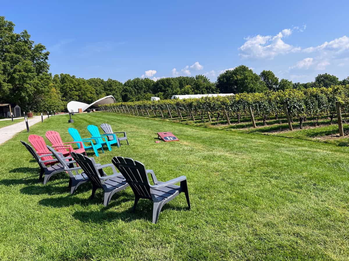 A scenic outdoor area at Jackson Triggs NOTL winery, featuring a row of colorful Adirondack chairs overlooking a neatly maintained vineyard. The sky is clear and blue, with trees lining the background and a small pavilion visible in the distance.