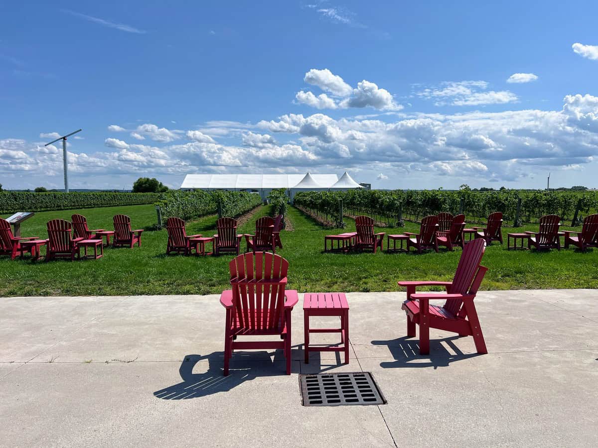 Rows of red Adirondack chairs facing lush vineyard rows under a clear sky, inviting visitors to relax at one of the best wineries to visit in Niagara on the Lake.