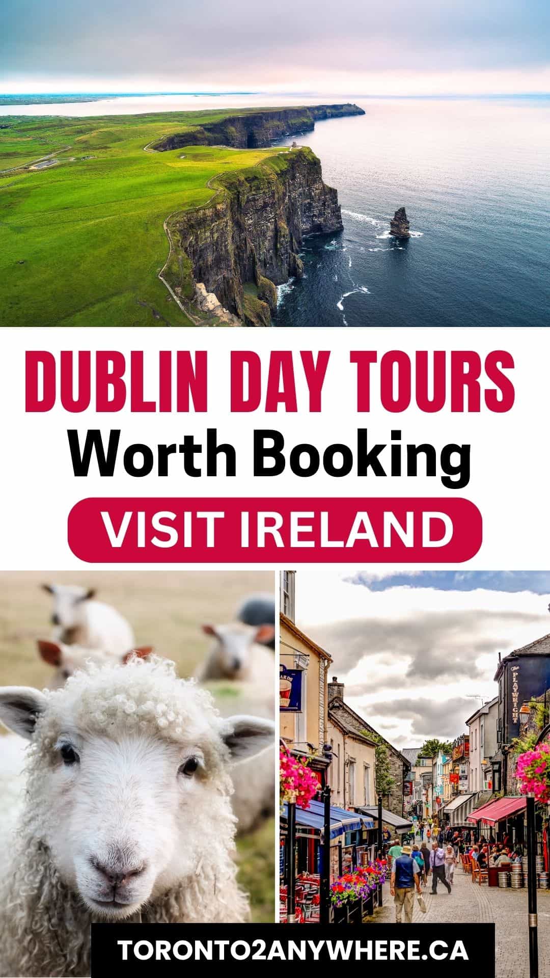 The breathtaking Cliffs of Moher stretching into the Atlantic Ocean, alongside charming Irish streets adorned with flowers and an adorable curly-haired sheep. This Pinterest graphic highlights must-book day tours from Dublin, showcasing Ireland’s stunning countryside and local culture.