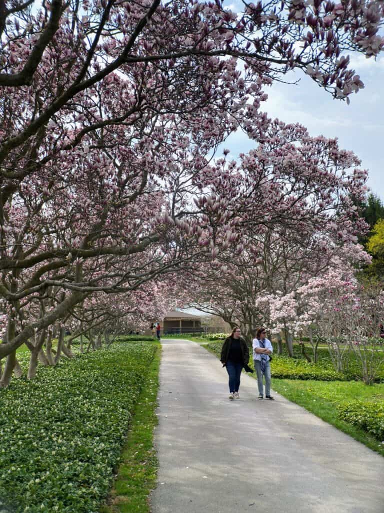 Toronto Early Spring Best Time to Visit Toronto (From a Local) by Season