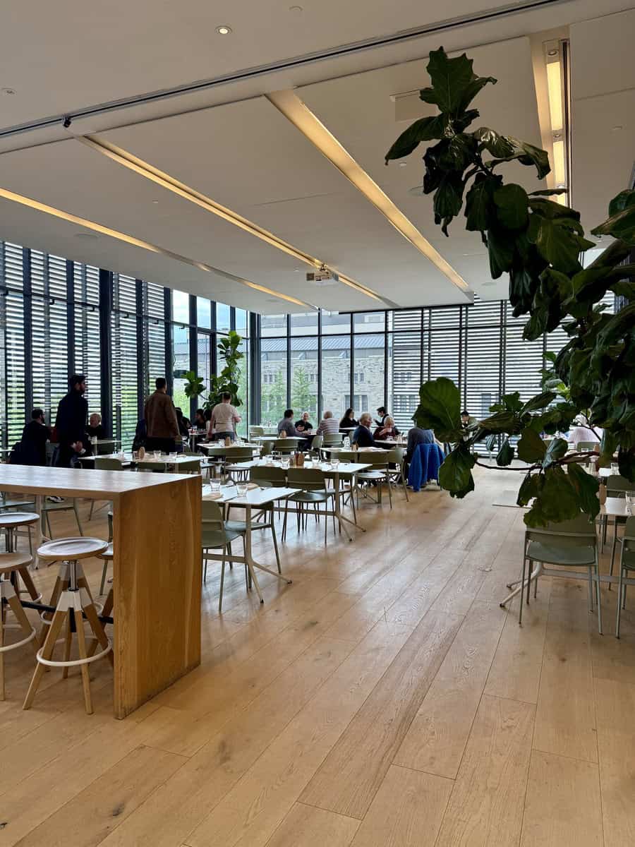 Bright, modern café at Gardiner Museum in Toronto, featuring large windows, wooden floors, green plants, and patrons dining at minimalist tables.