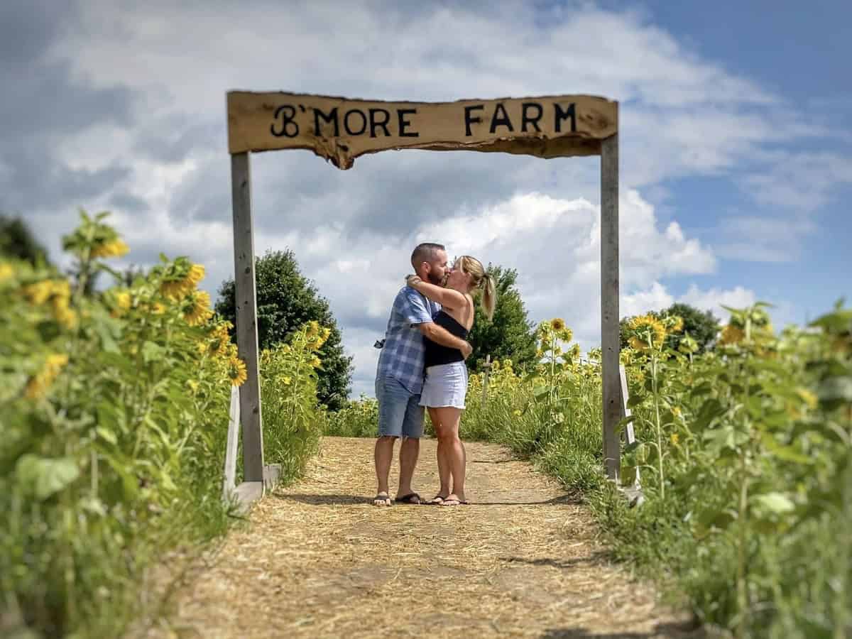 Couple kissing under the rustic “B’MORE FARM” wooden archway, surrounded by tall sunflowers on a sunny path at a popular sunflower field in Ontario, known as one of the best sunflower farms in the area.