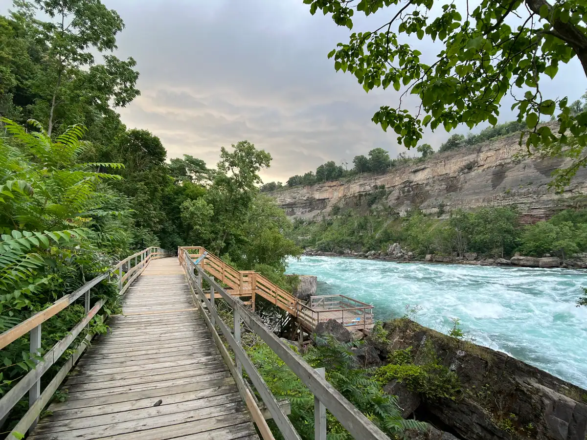 A wooden boardwalk winds through lush greenery beside the Niagara River, leading toward viewing platforms that overlook the turquoise rapids and steep rocky cliffs at the White Water Walk in Niagara Falls Canada.