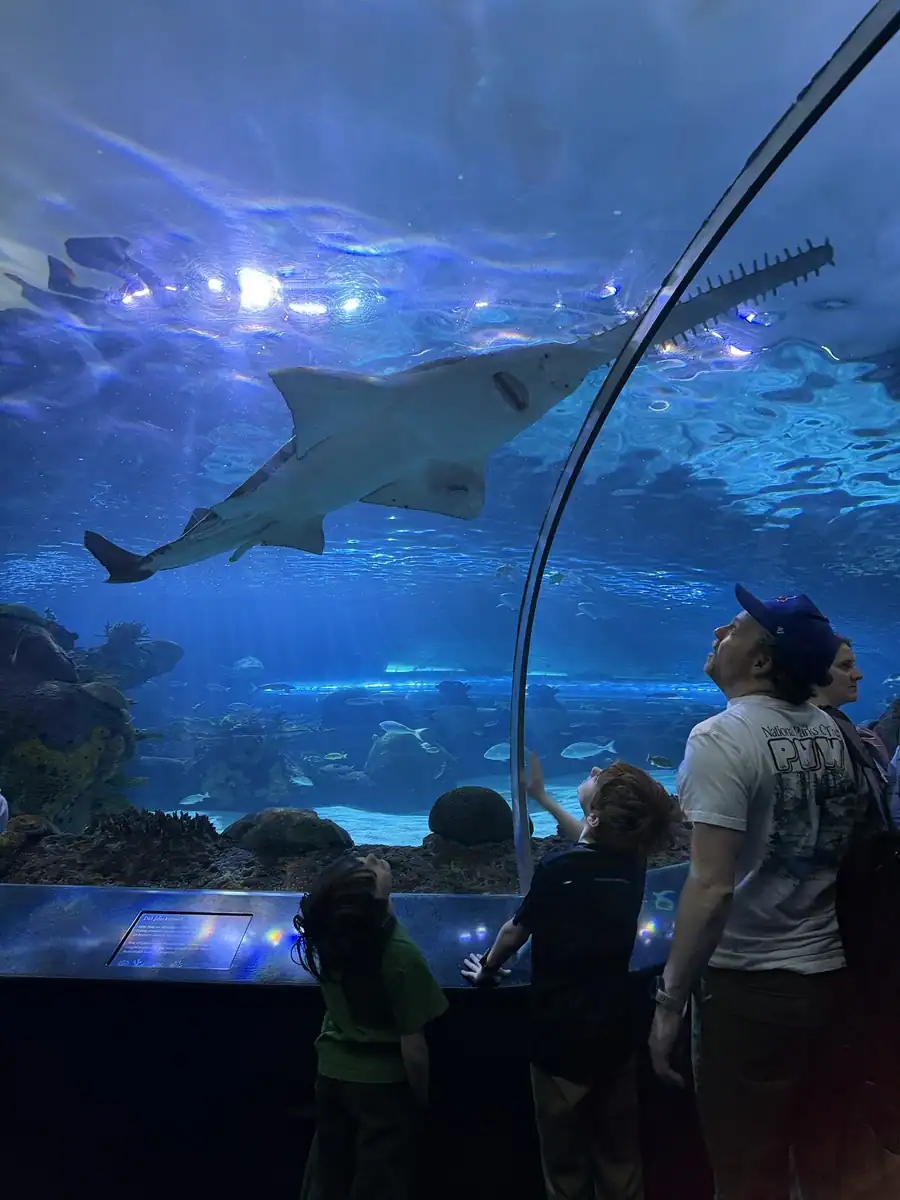 A family looks up inside the underwater tunnel at Ripley’s Aquarium Canada as a large shark glides overhead through blue lit water. The curved glass ceiling creates a dramatic view.