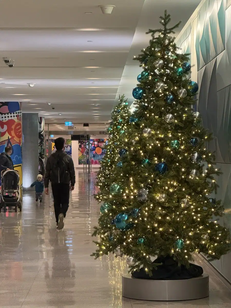 A person walks past several Christmas Trees on display in the PATH in downtown Toronto.
