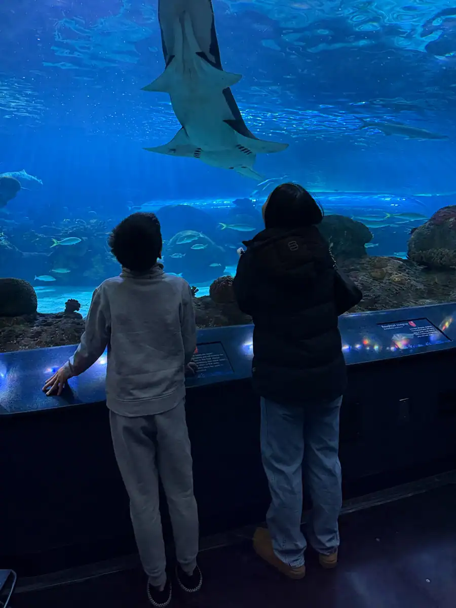 Two children watch a shark swim in front of them at the Ripley's Aquarium in Toronto.