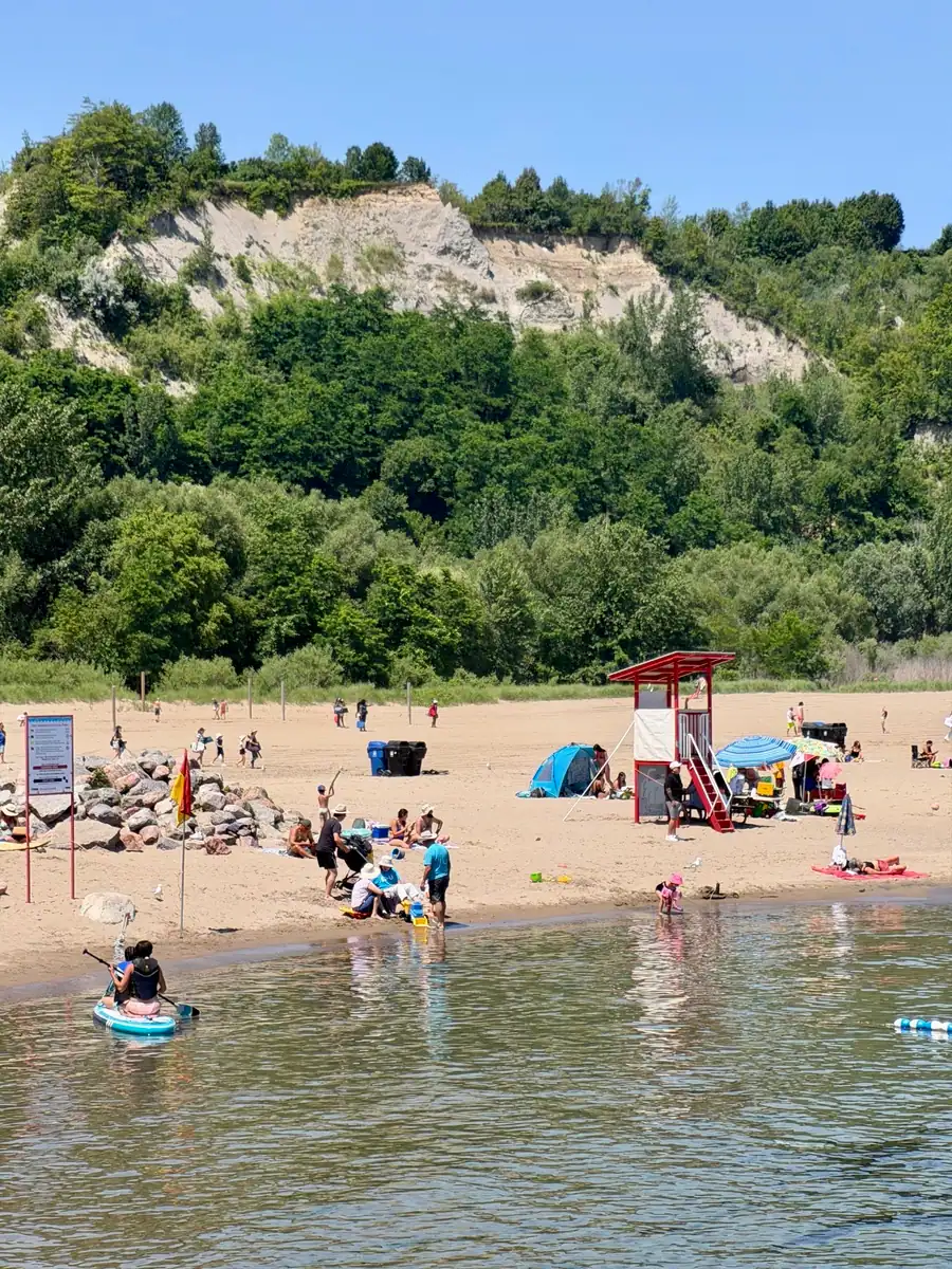 Visitors enjoy the sand and water at Scarborough Bluffs Beach beneath lush green cliffs on a sunny day.